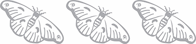 pattern made by SD2266 Giant Moth